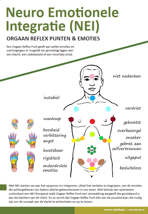 poster neuro emotionele integratie nei